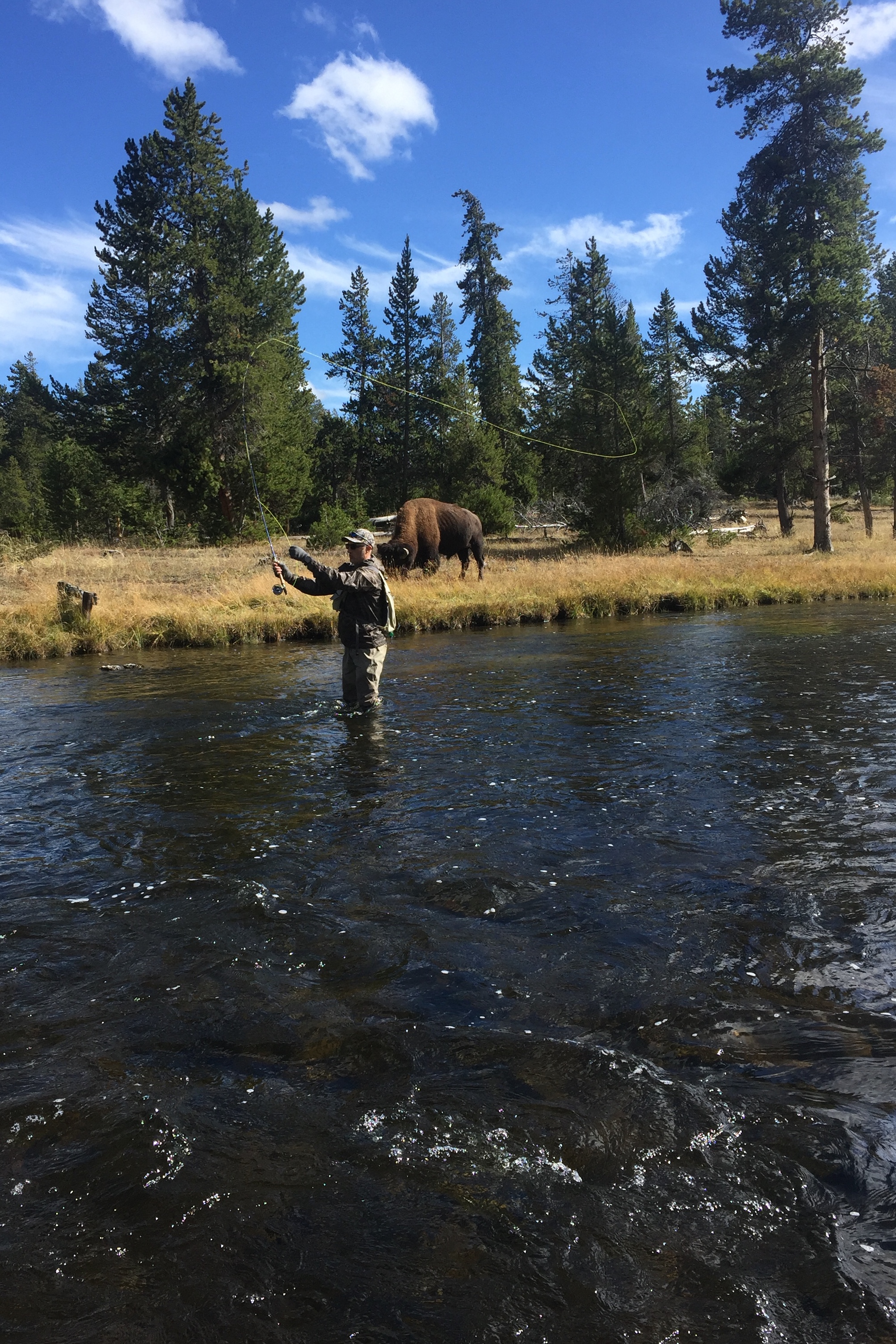 Shop For Fly Fishing Gear » Online Inventory » Yellowstone Angler