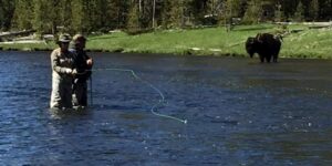 Half Day Guided Walk/Wade Trip